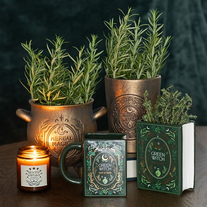 Herbal Magic Bronze Effect Terracotta Cauldron Plant Pot