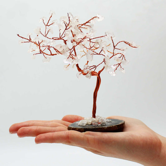 Large Clear Quartz Crystal Tree on Black Agate Base – 100 Stone