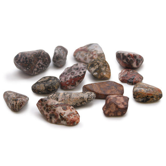 Medium Leopard Skin Jasper Tumble Stone – Natural Crystal