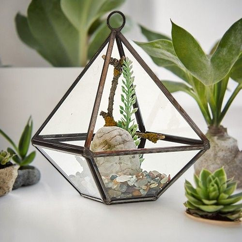 Terrariums