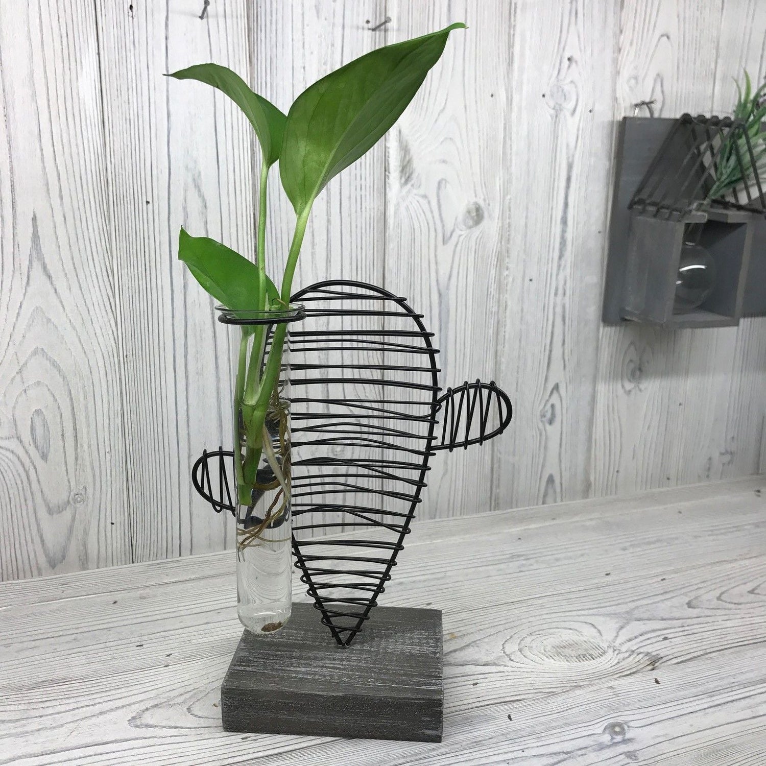 Hydroponic Home Décor Pots