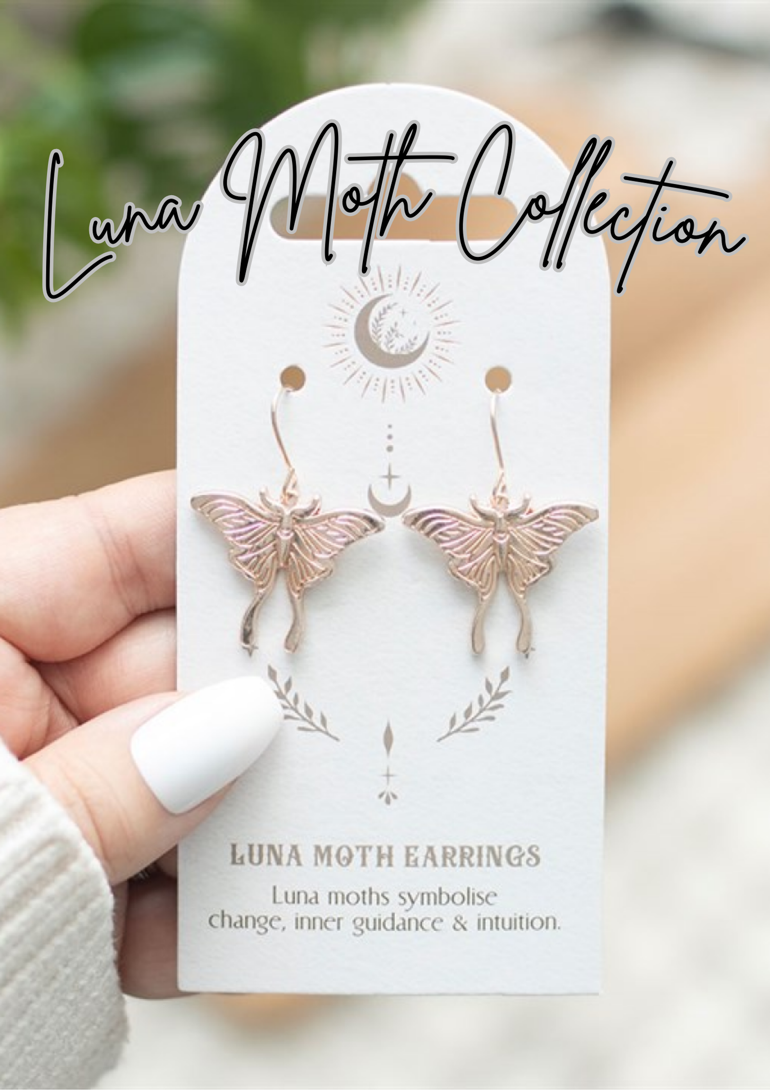 Luna Moth Collection