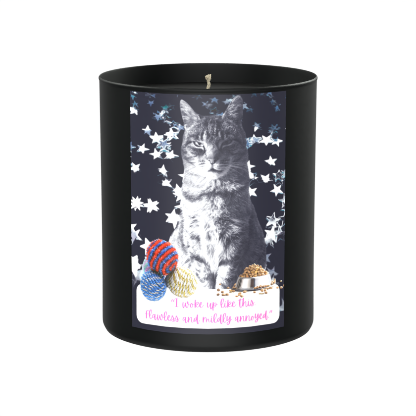 Funny Cat Humour 200g Black Candle ‘Dark Noir’