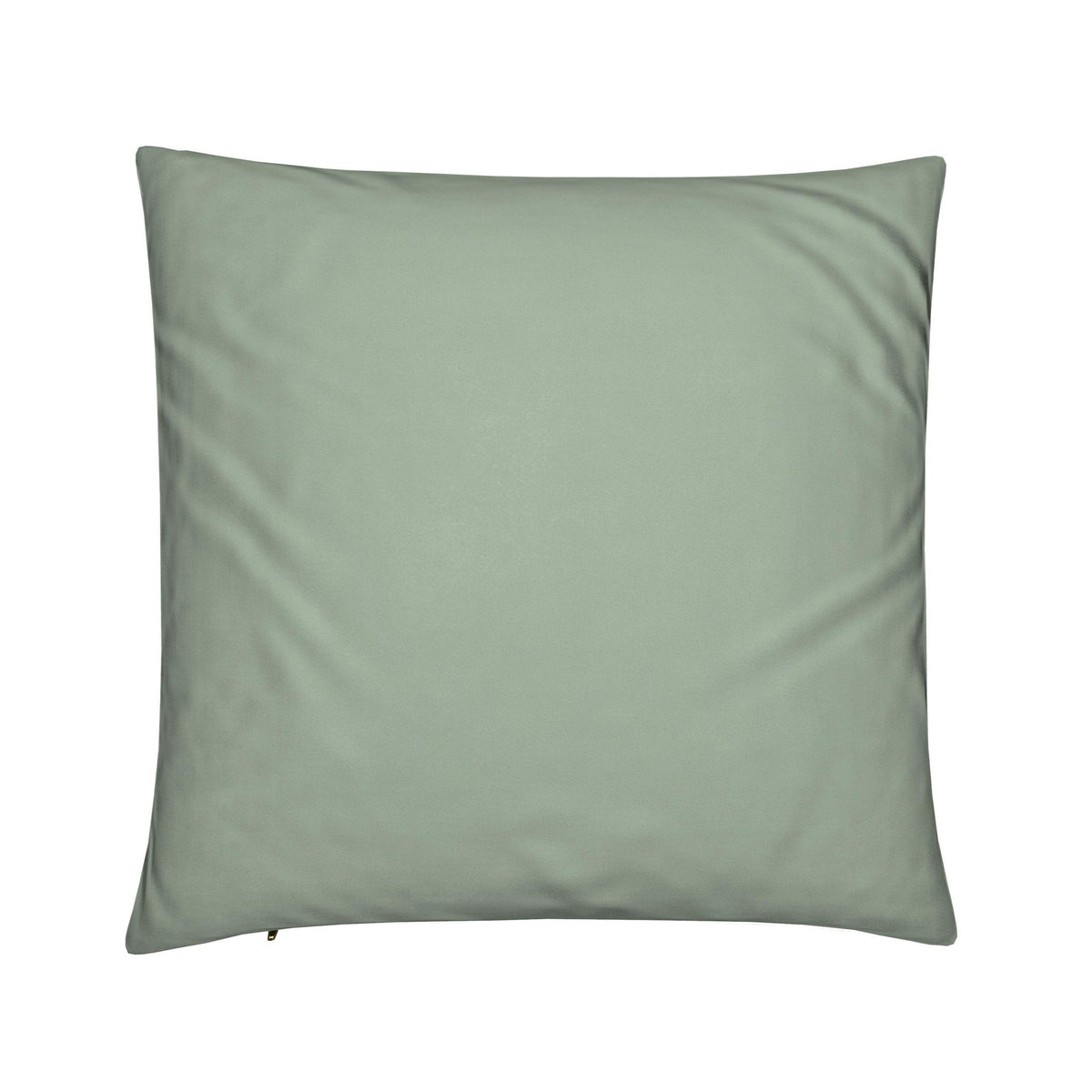 Sage Green Japanese Cherry Blossom Botanical Cushion