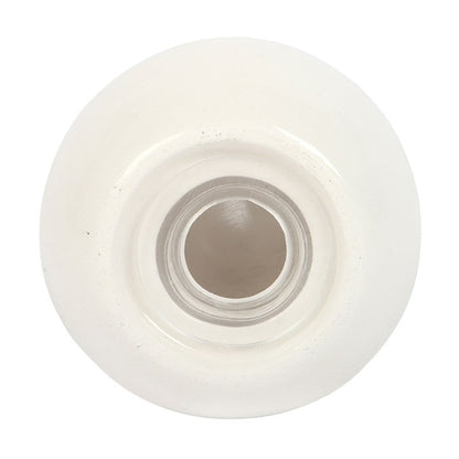 Clam Shell Salt and Pepper Shakers
