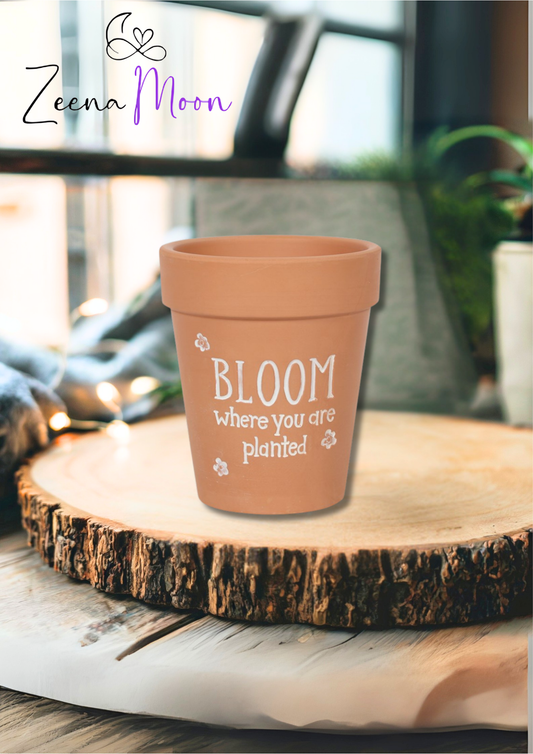 Bloom Where You Are Planted Terracotta Plant Pot