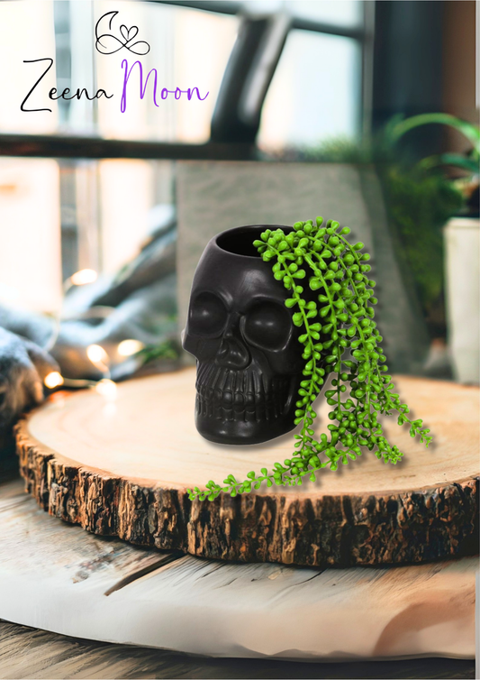 Black Skull Plant Pot