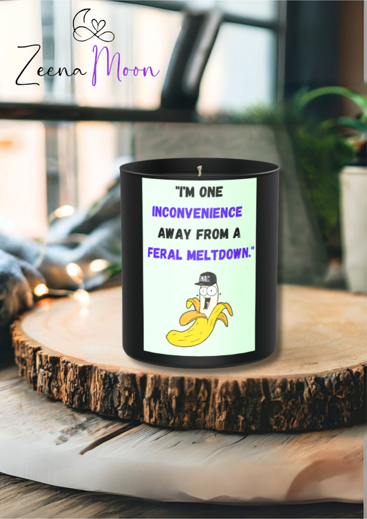 I’m one inconvenience 200g Black Candle ‘Dark Noir’