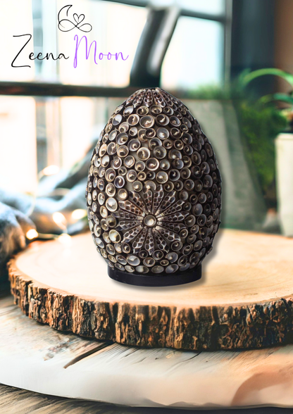 Boho Sea Shell Lamp - Chocolate Twist Oval - 20cm