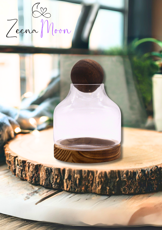 Medium Ball Top Terrarium on Dark Tung Wood