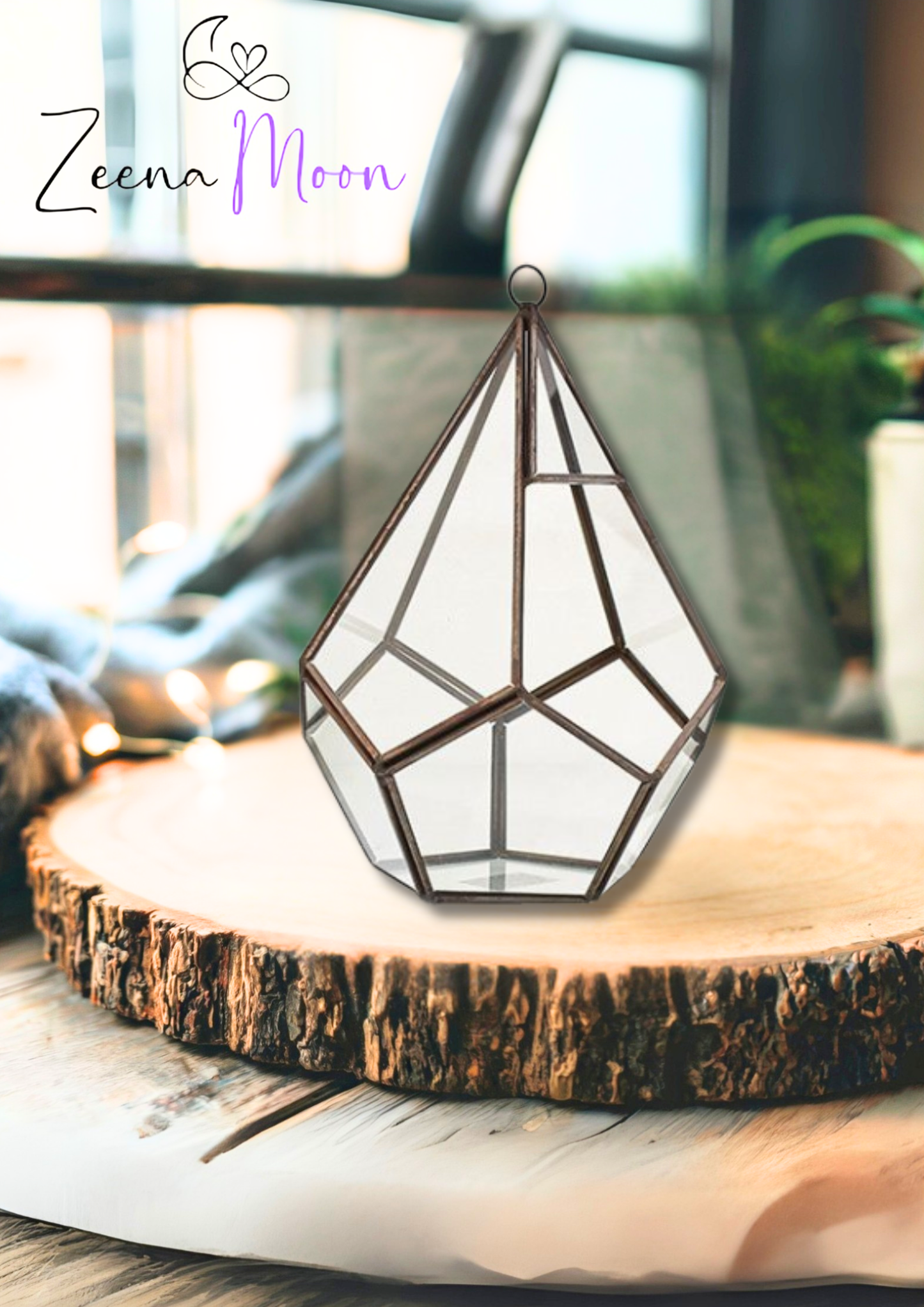 Glass Terrarium - Large Pentagon