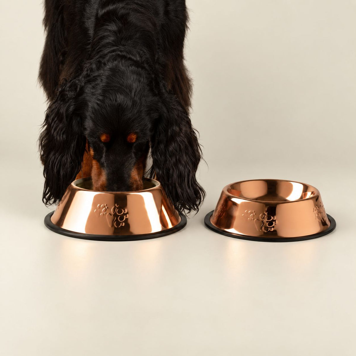 Copper Style Pet Food & Water Bowl – 18cm Stainless Steel