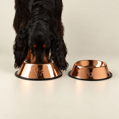 Copper Style Pet Food & Water Bowl – 18cm Stainless Steel