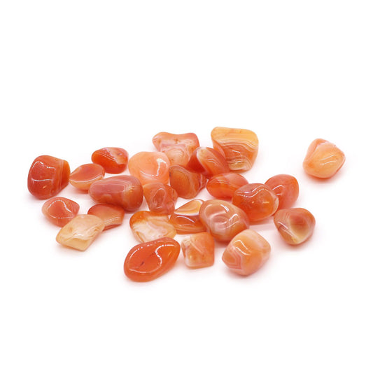 Carnelian Tumble Stones – Pack of 24 | Natural Polished Crystals