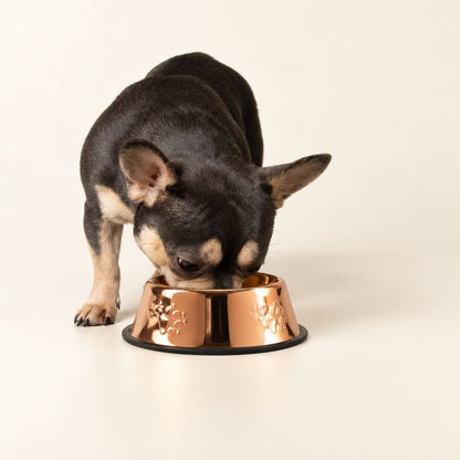 Copper Style Pet Food & Water Bowl – 18cm Stainless Steel