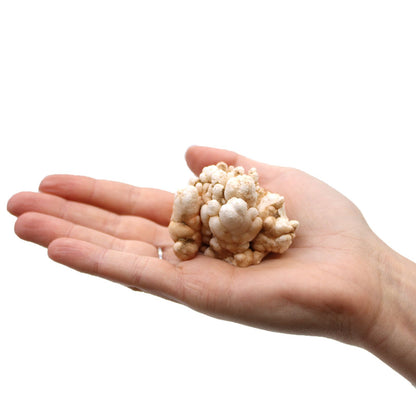 Finger Quartz Crystal Clusters – Natural Mineral Specimens 1kg Pack