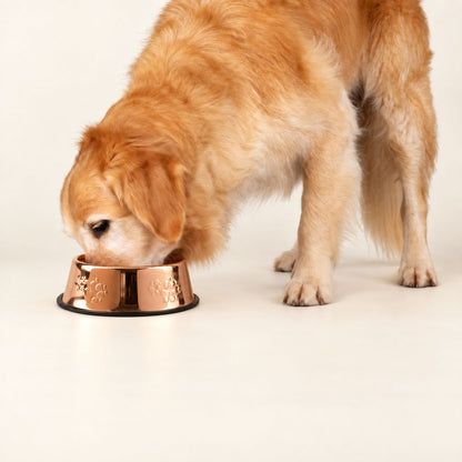 PAW Copper-Style Stainless Steel Cat & Dog Bowl – 22cm