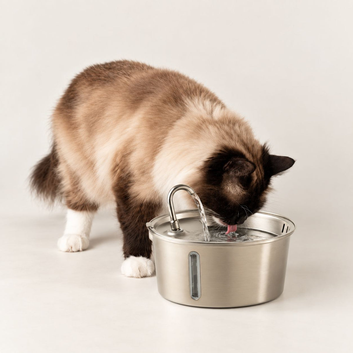 PAW Stainless Steel Cat & Dog Water Fountain – 2.5L USB Electric Pet Fountain
