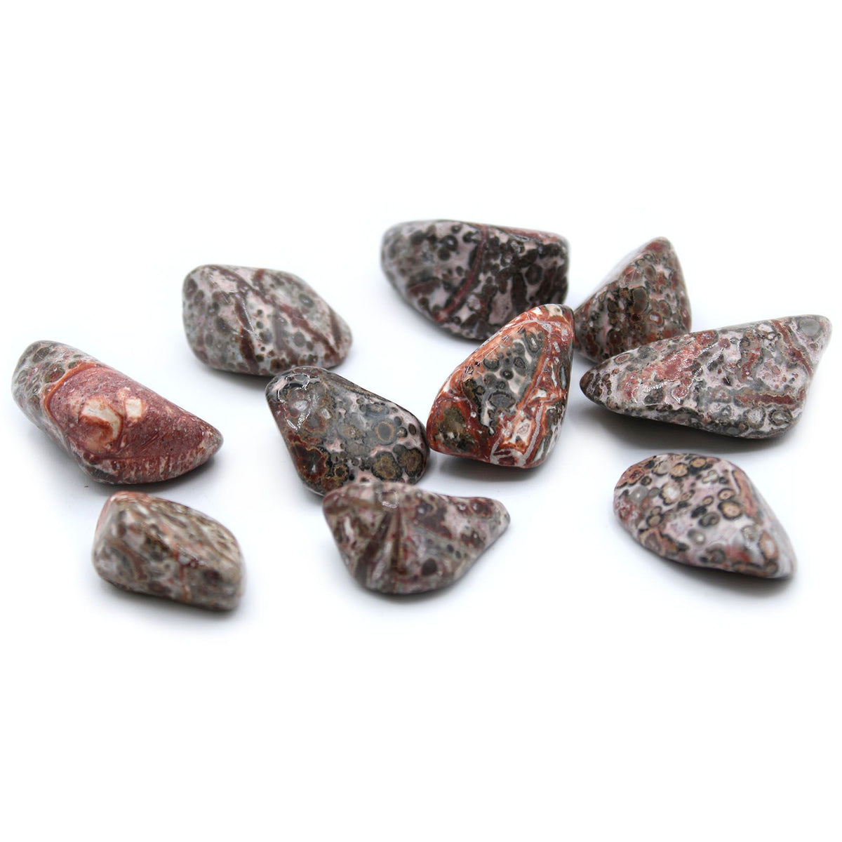 Leopard Skin Tumbled Stones – Pack of 24, 20–30mm