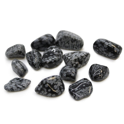 Snowflake Obsidian Tumble Stone – Medium Natural Crystal