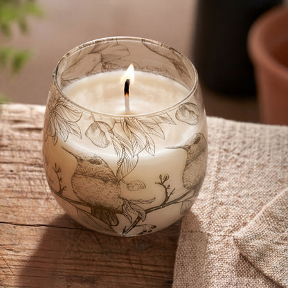 Drawn by Flame – Botanical Glass Jar Candle | 45 Hour Burn