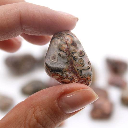 Medium Leopard Skin Jasper Tumble Stone – Natural Crystal