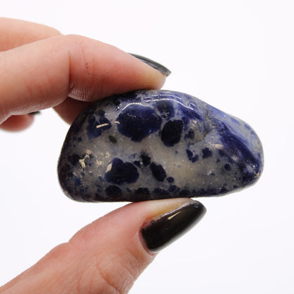 Blue Sodalite Tumble Stone – Crystal for Intuition, Truth & Clarity