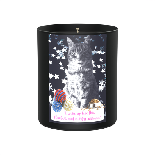 Funny Cat Humour 200g Black Candle ‘Dark Noir’